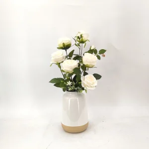 Demo product